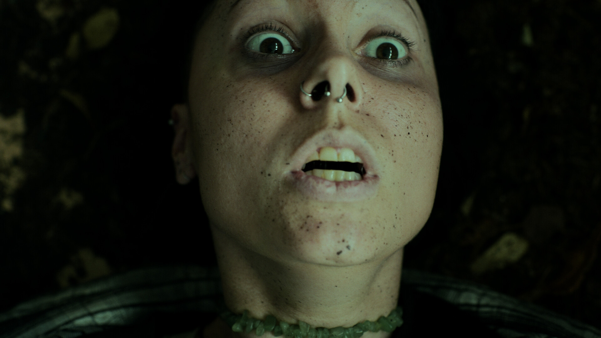 검은 숲의 심장 Heart of the Forest screenshot 4