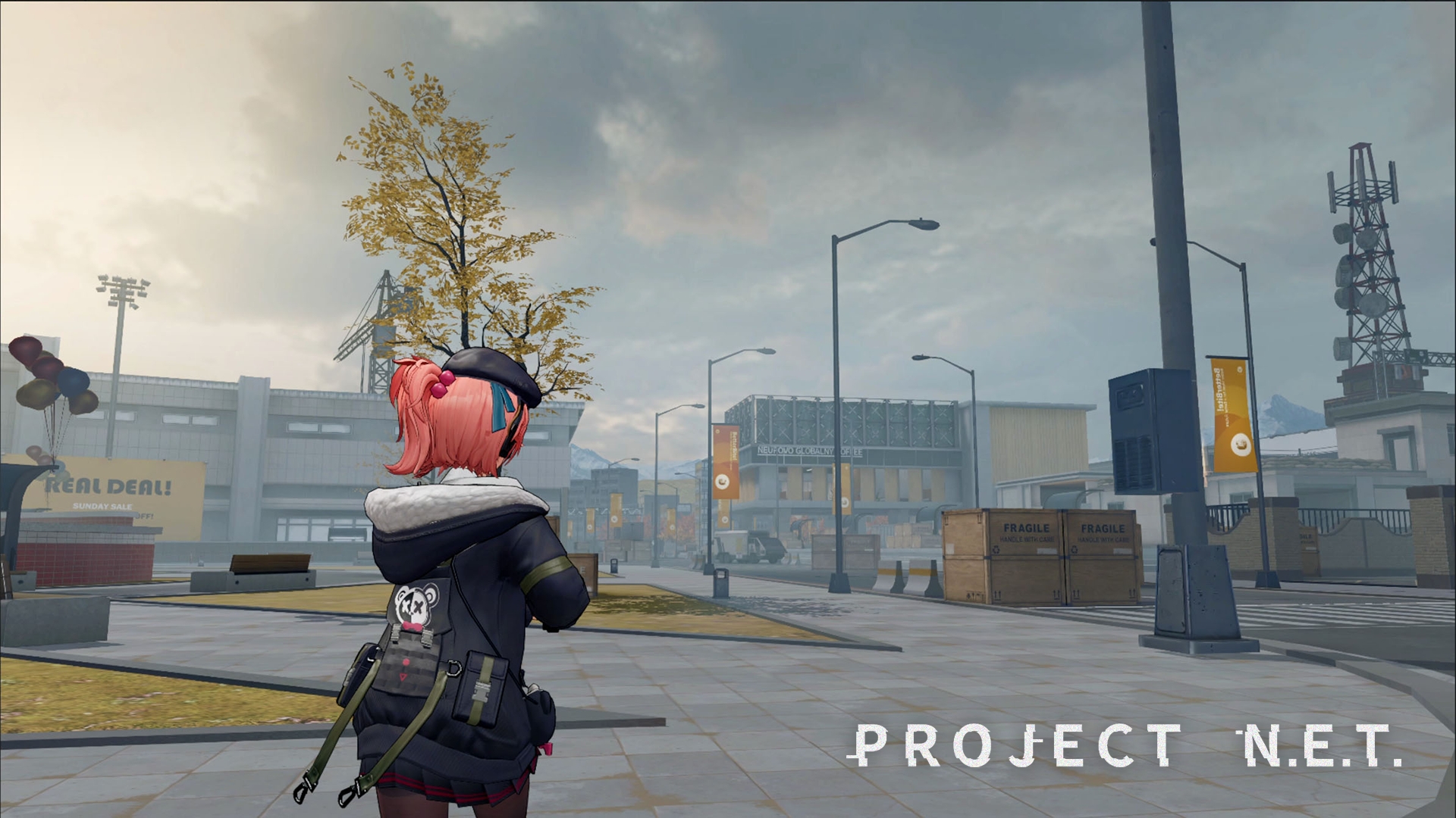 PROJECT NET screenshot 1
